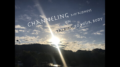 Channeling my Kidneys on Talking to Your Body #79
