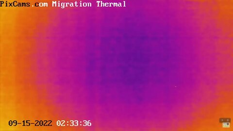 Fall Migration 2022 Thermal Camera - 9/15/2022 @ 2:33 AM - Nine birds in less than 2-minutes