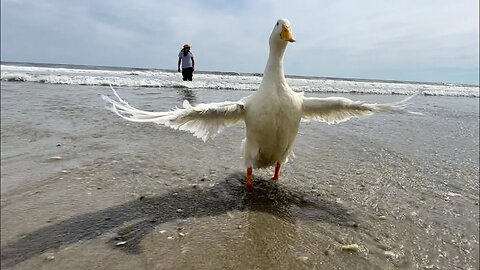 Swimming in the Ocean for the First Time