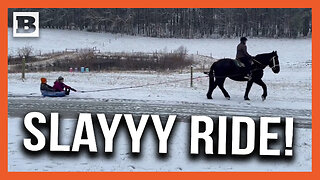 Slayyyy Ride!! Virginia Kids Celebrate Cold Spell with Horse-Drawn Sleigh