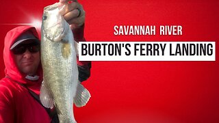 SAVANNAH RIVER Bass FISHING !