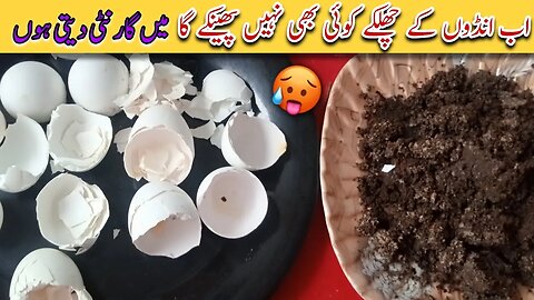 Make gold from egg shells 🤑 Are you still unaware?🔥 | New Kitchen tips & Tricks| Money Saving tips|