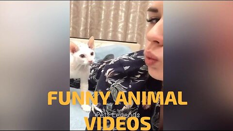 FUNNY ANIMAL VIDEOS - part 1