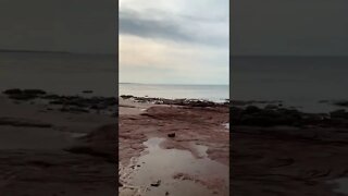 Red sand rocks at the beach