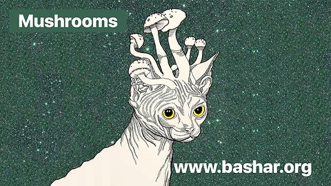 Bashar: Mushrooms