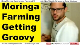 Moringa Farming Getting Groovy