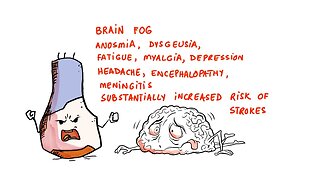 Spike Protein Accumulates in Brain and Skull and Causes Damage. Brand New Study