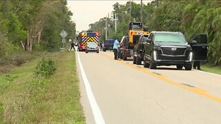 Horses Hit By Car