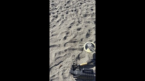 Metal detecting at the beach, Montana De ￼Oro California