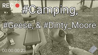 Camping, Geese, & Dinty Moore Beef Stew...