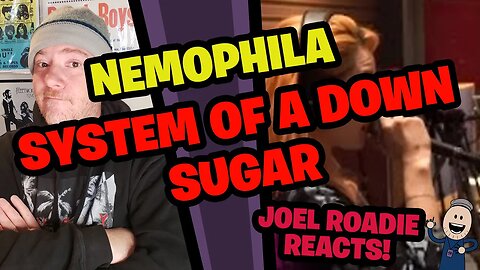 System Of A Down / Sugar [Cover by NEMOPHILA] - Roadie Reacts