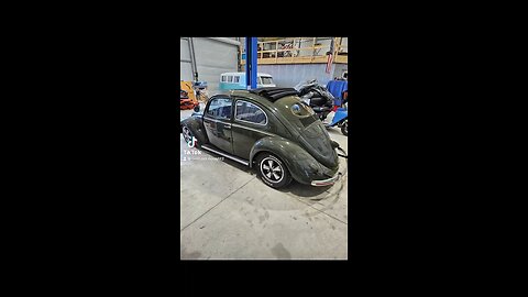 1950 VW split window bug