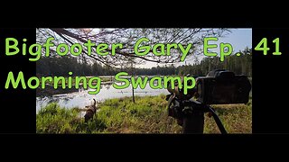 Bigfooter Gary Ep. 41 - Morning Jaunt To Beaver Swamp