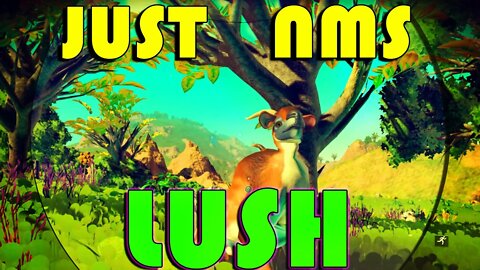 No Mans Sky I JUST NMS I Explore a Bright and Cheerful Lush World