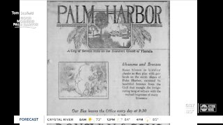 History of Palm Harbor