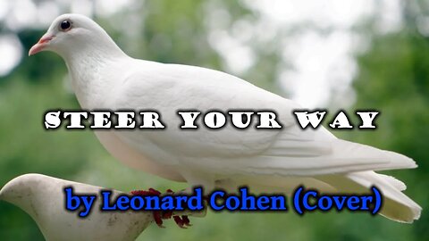 Steer Your Way by Leonard Cohen (Cover)