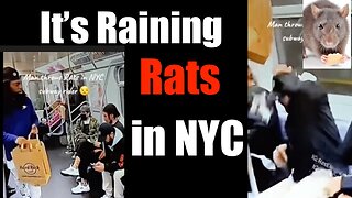It's Raining Rats in the NYC Subway- Thank you Dems! -- CLOWN WORLD