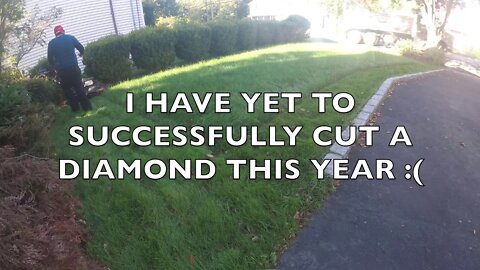Long Island Lawncare VLOG8: 1st & 2nd Cut After Aeration & Overseeding Kentucky Tall Fescue 31