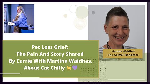 Pet Loss Grief: The Pain And Story Shared By Martina Waidhas & Carrie With Her Cat Chilly 🐈 💜