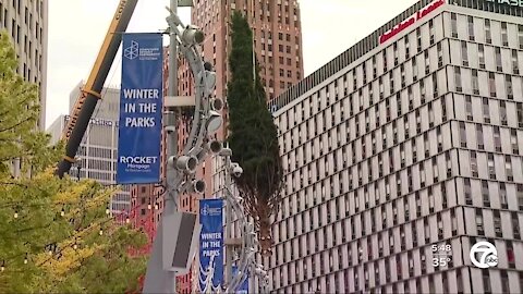 From Campus Martius to the White House, MI tree farm has been making spirits bright for generations