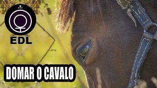 Domar o cavalo (Eu interior)