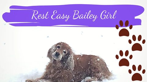 Vlog 40! Rest Easy Bailey Girl - Spring is here!