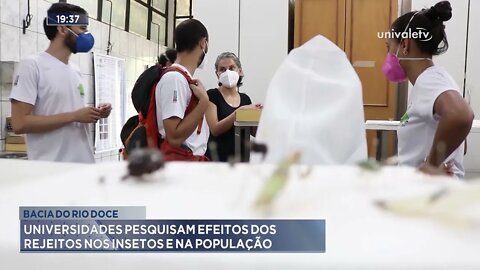 Bacia do Rio Doce: Universidades pesquisam efeitos dos rejeitos nos insetos e na população