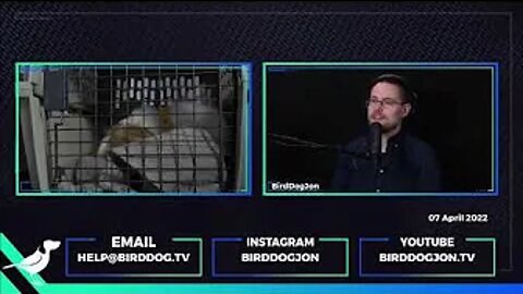 BirdDog Support Chat
