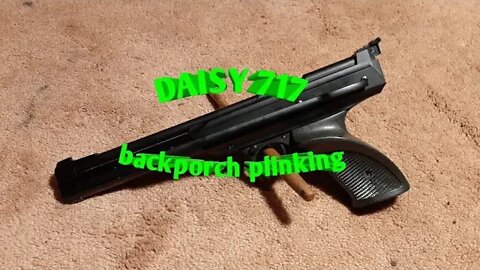 Daisy 717 *backporch plinking
