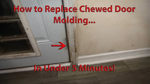 DIY Door Molding Replacement in under 5 minutes!