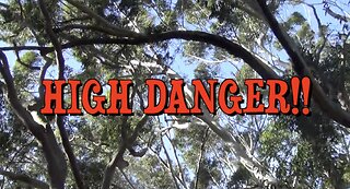 HIGH DANGER!!