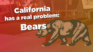 California has a real problem: Bears