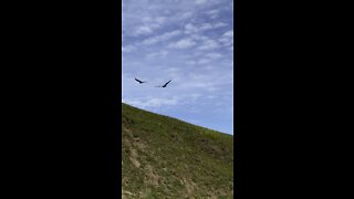 Flying Over The Ridgeline