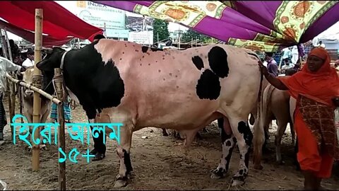 আশুলিয়ায় কোরবানির হাট ঘিরে উৎসবের আমেজ! | Ashulia Cow Market | Qurbani Eid