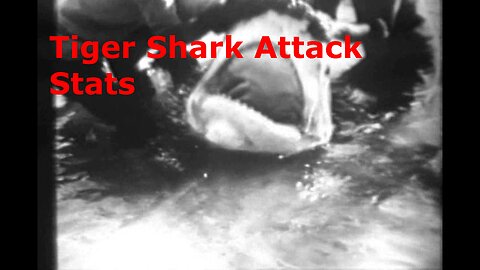 Tiger Shark Attack Stats Covered to Date