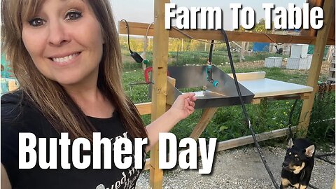 BUTCHER DAY || Start to Finish || Farm to Table || Homesteading Life