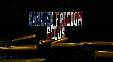 Candied Freedom Seeds - Endocrine Disruptors