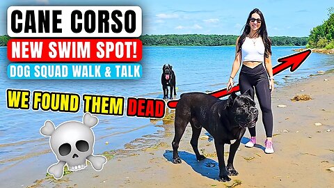 NEW Swim Spot Corso Found Them DEAD Dog Squad Walk & Talk