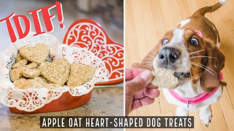 TDIF! Apple Oat Heart-Shaped Dog Treats