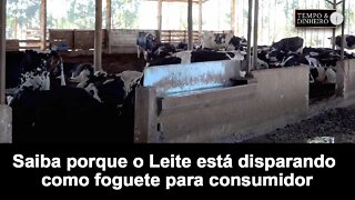 Leite dispara como foguete para consumidor e sobe lentamente ao produtor. Saiba porque.