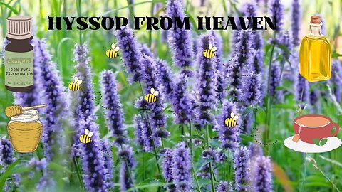 Hyssop from Heaven