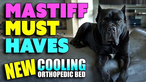 Mastiff Must Haves The BEST Orthopedic Bed To SAVE JOINTS