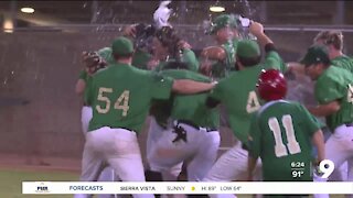 Tucson Saguaros win Pecos League Title