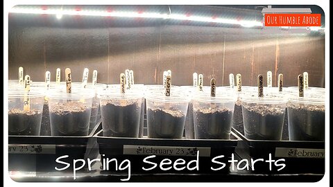 Seed Starts Spring 2023