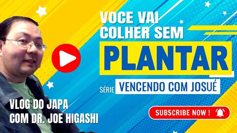 voce vai colher sem plantar, promessa que Deus fez ao seu povo por se curvarem ao Deus de aliança