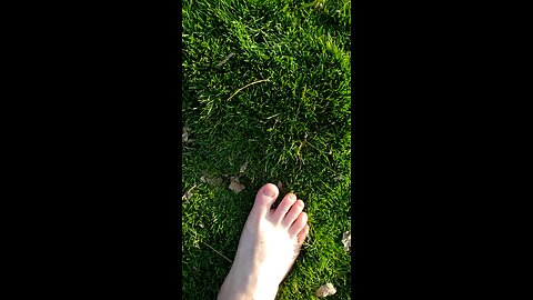 Touch Grass