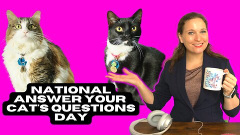 If Your Cats Could Ask Any Question, What Would it Be? | The Holidays Podcast (Ep. 23)