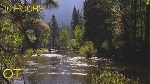 A Peaceful Day in the Yosemite Valley | Flowing Water & Nature sounds for sleeping| relaxing| study