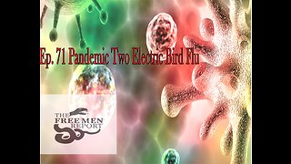 Ep. 72 The Free Men Report: Pandemic Two Electric Bird Flu