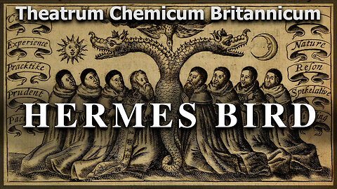Hermes Bird (audiobook) - Raymond Lully - Theatrum Chemicum Britannicum